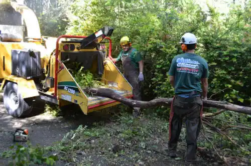 tree services Germantown